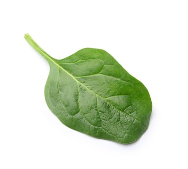 Beyaz arkaplanda taze ıspanak