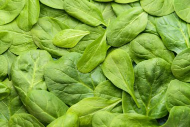 Taze ıspanak closeup görünümü