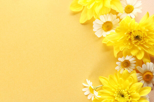 Beautiful fresh flowers on color background