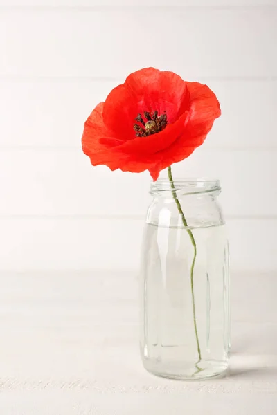 Vase avec de belles fleurs de pavot rouge sur fond blanc en bois — Photo