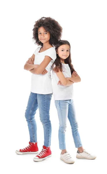 Meninas elegantes em jeans no fundo branco — Fotografia de Stock