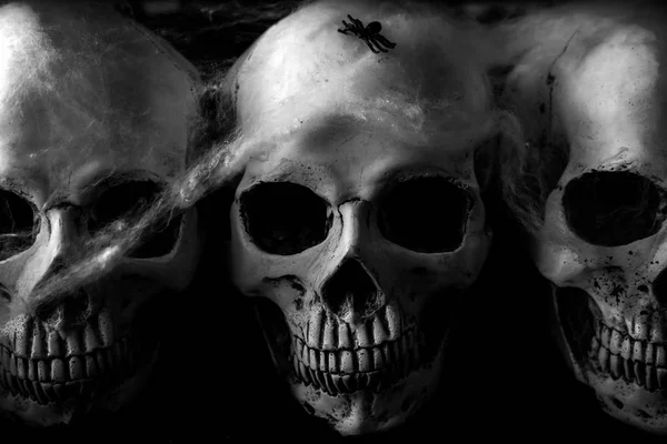 Crânes humains avec toile d'araignée sur fond sombre — Photo