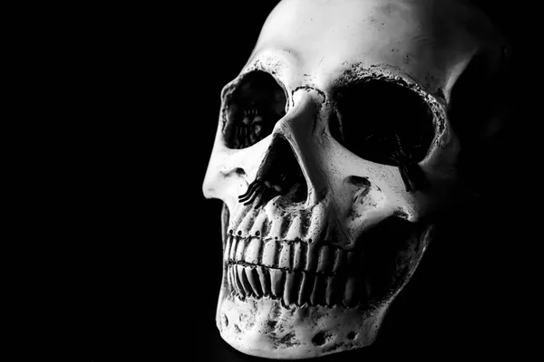 Calavera humana con arañas sobre fondo negro —  Fotos de Stock