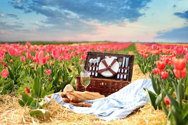 Place for picnic among tulips outdoors on spring day