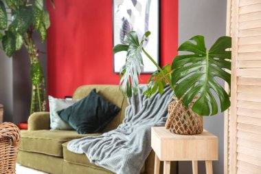 Modern konforlu odanın içi