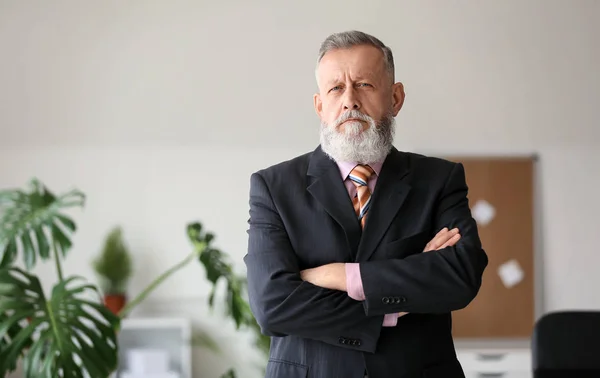 Handsome mature businessman in office — Stock Photo, Image