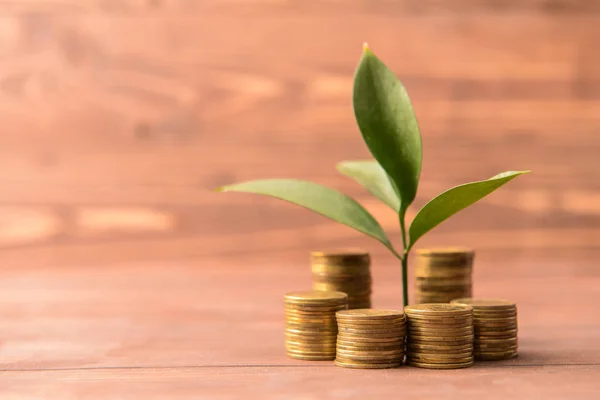 Coins with growing plant on wooden table. Money savings concept — Stock Photo, Image