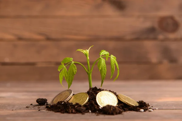 Growing plant with coins and soil on wooden table. Money savings concept