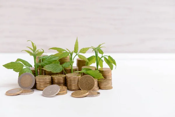 Coins with growing plant on white table. Money savings concept — Stock Photo, Image