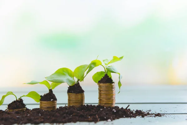 Soil with coins and growing plants on table. Money savings concept — Stock Photo, Image