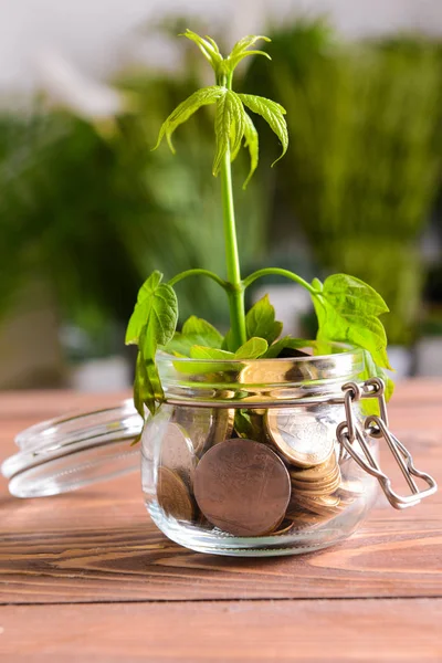 Jar with coins and growing plant on wooden table. Money savings concept — Stock Photo, Image
