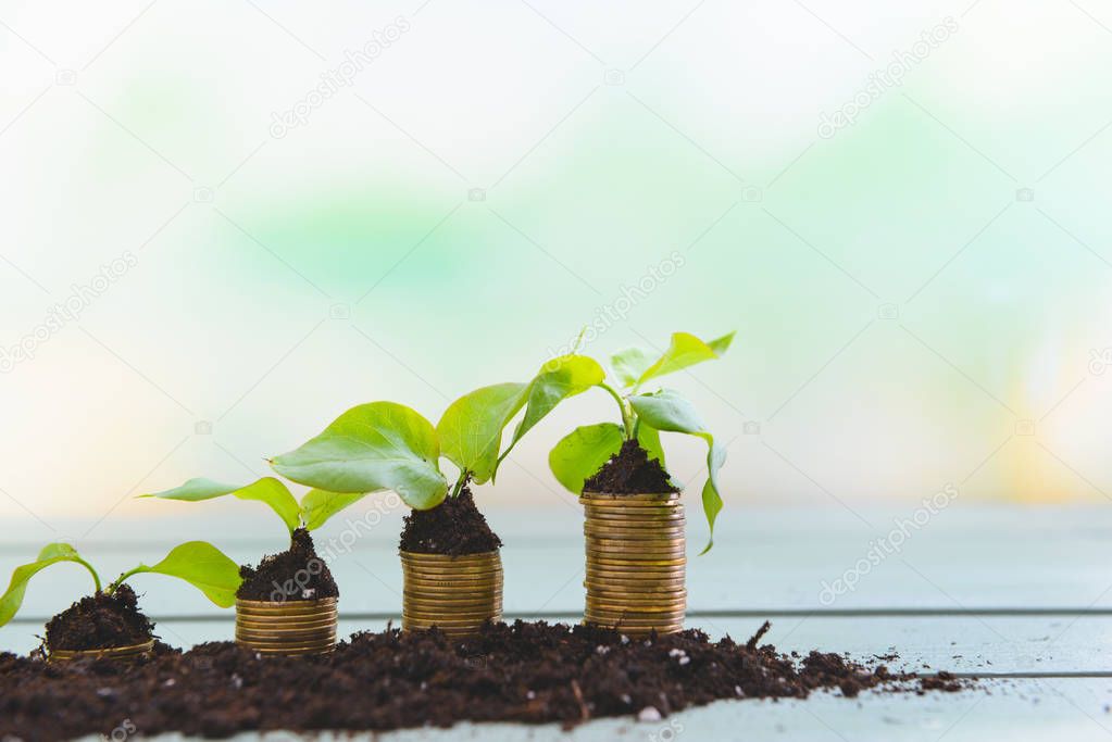 Soil with coins and growing plants on table. Money savings concept