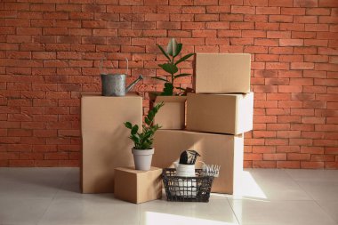 Tuğla duvara yakın yeni eve taşınmak için hazırlanan eşyaları ile karton kutular