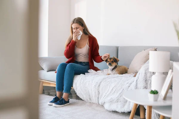 Woman suffering from pet allergy at home — Stock Photo, Image