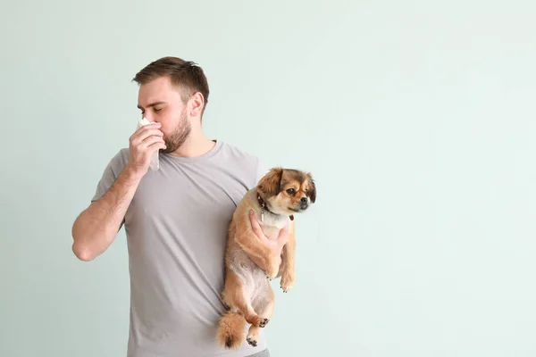 Man suffering from pet allergy on light background — Stock Photo, Image