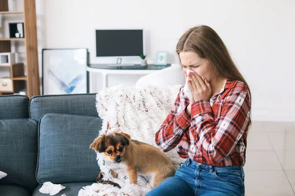 Woman suffering from pet allergy at home — Stock Photo, Image
