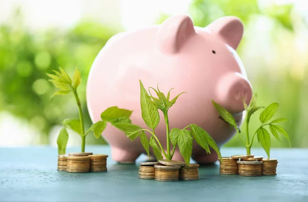 Coins with growing plants and piggy bank on table. Money savings concept