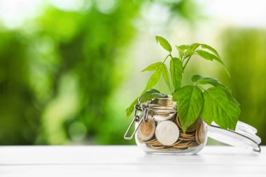 Kavanoz sikke ve masada büyüyen bitki ile. Para tasarrufu kavramı