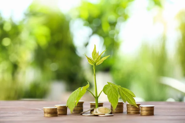 Coins with growing plant on table. Money savings concept — Stock Photo, Image