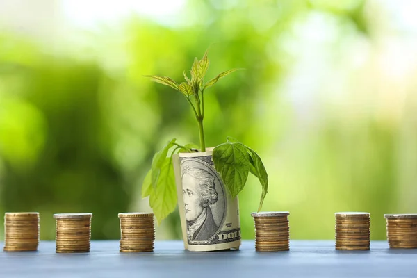 Coins with banknote and growing plant on table. Money savings concept — Stock Photo, Image