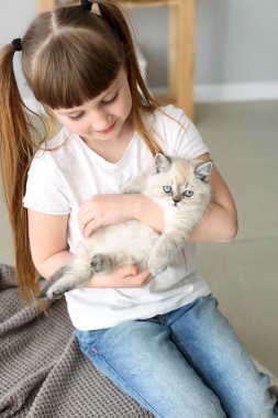 Evde sevimli kabarık kedi yavrusu ile kız