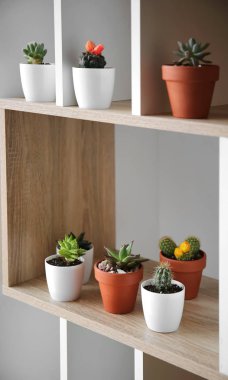 Raflarda tencere yeşil sulu