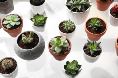 Beyaz masa üzerinde tencere yeşil sulu