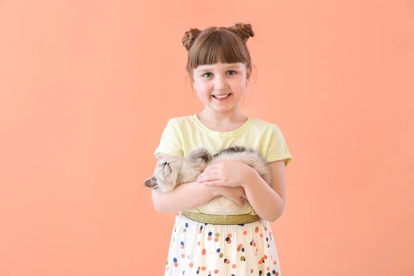 Дівчина з милим пухнастим кошеням на кольоровому фоні — стокове фото