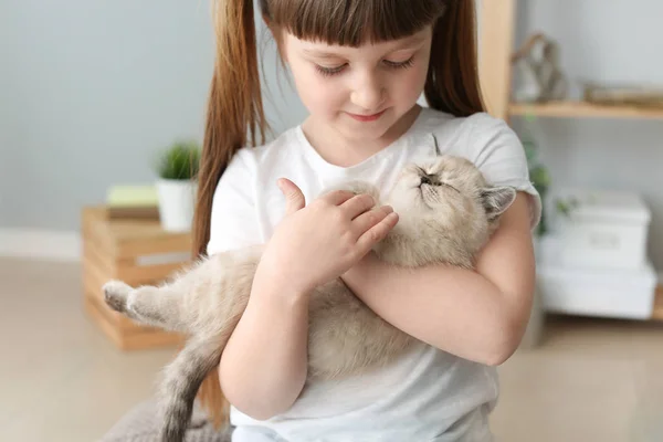 Menina com gatinho fofo bonito em casa — Fotografia de Stock