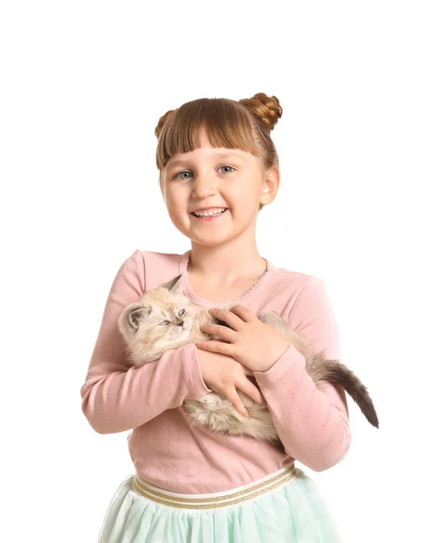 Chica con lindo gatito esponjoso sobre fondo blanco — Foto de Stock