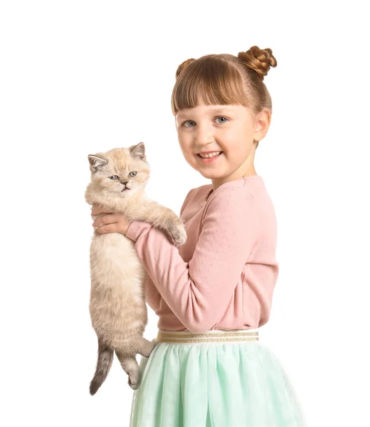 Ragazza con carino gattino soffice su sfondo bianco — Foto Stock