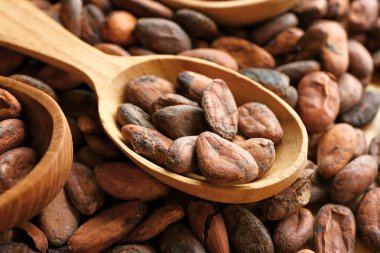 Kakao çekirdekli kaşık, closeup