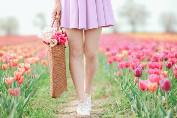 Beautiful young woman with bag in tulip field on spring day — Stock Photo, Image