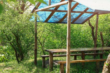 Güneşli günde ormanda ahşap çardak