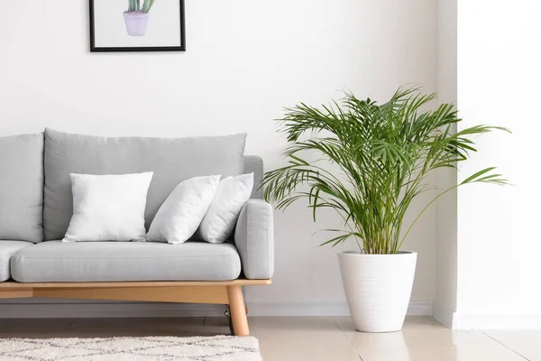 Sofá con almohadas suaves en el interior del salón —  Fotos de Stock