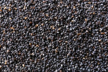 Arka plan olarak birçok haşhaş tohumu