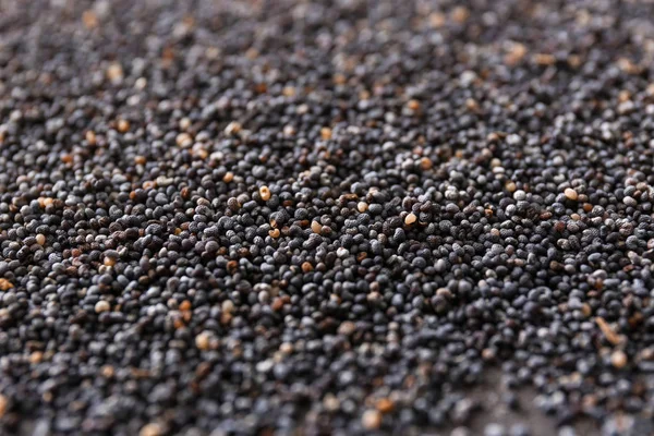 Many poppy seeds, closeup view — Stock Photo, Image