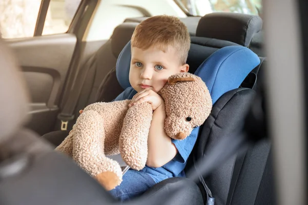 Little boy with toy bear buckled in car seat — Stock Photo, Image