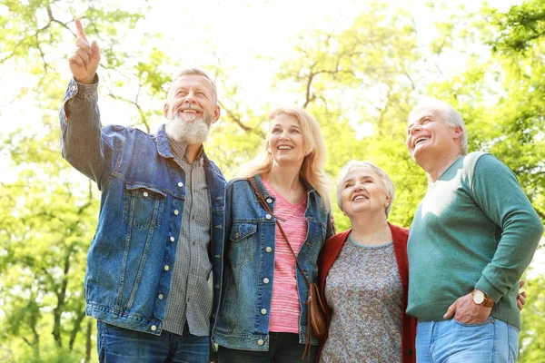 Grupp av seniora personer i Park — Stockfoto