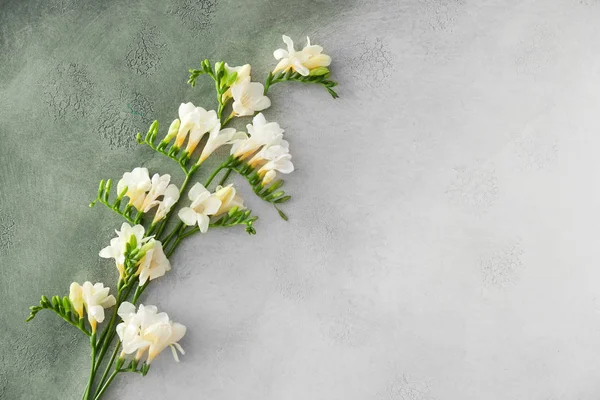 Beautiful freesia flowers on light background — Stock Photo, Image