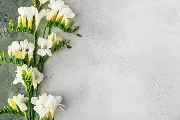Beautiful freesia flowers on light background — Stock Photo, Image