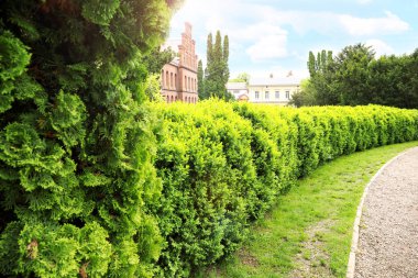 Bahar gününde güzel park ın görünümü