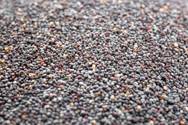 Arka plan olarak birçok haşhaş tohumu