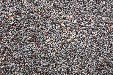 Arka plan olarak birçok haşhaş tohumu