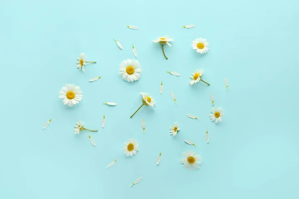 Viele schöne Blumen auf farbigem Hintergrund — Stockfoto