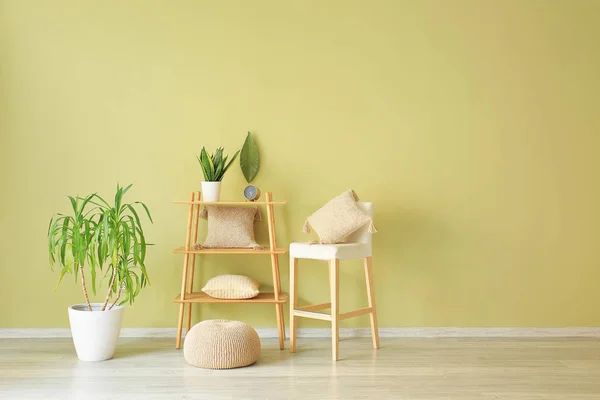 Furniture with soft pillows and plants near color wall — Stock Photo, Image