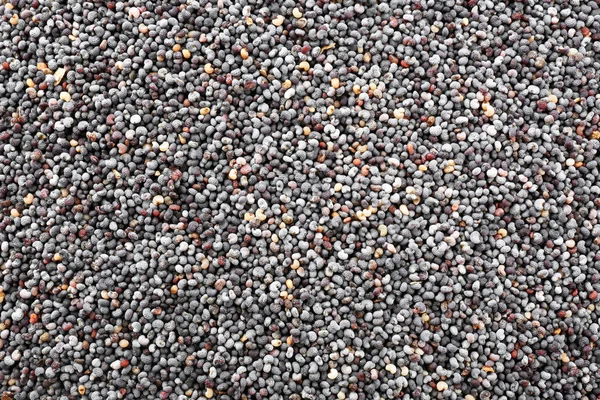 Many poppy seeds as background