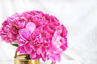 Beyaz arka plan üzerinde güzel şakayık ile Sulama olabilir