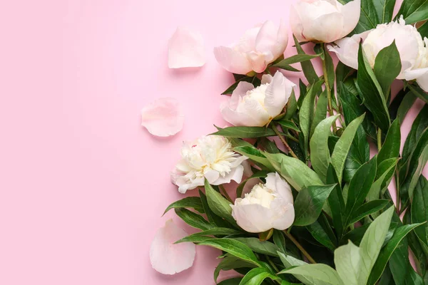 Bellissimi fiori di peonia su sfondo di colore — Foto Stock