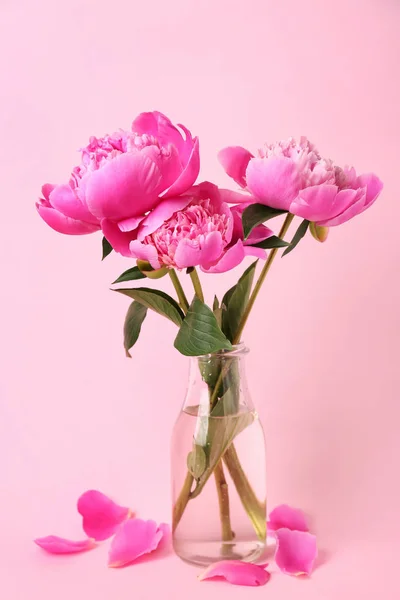 Vase with beautiful peony flowers on color background — Stock Photo, Image